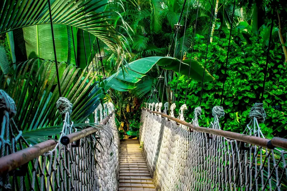 Foto del Amazonas. Viajes baratos en Onvacation